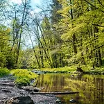 Glamping Nad Meandry V Jurte Οργανωμένο κάμπινγκ