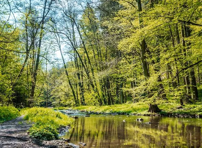 Glamping Nad Meandry V Jurte 럭셔리텐트